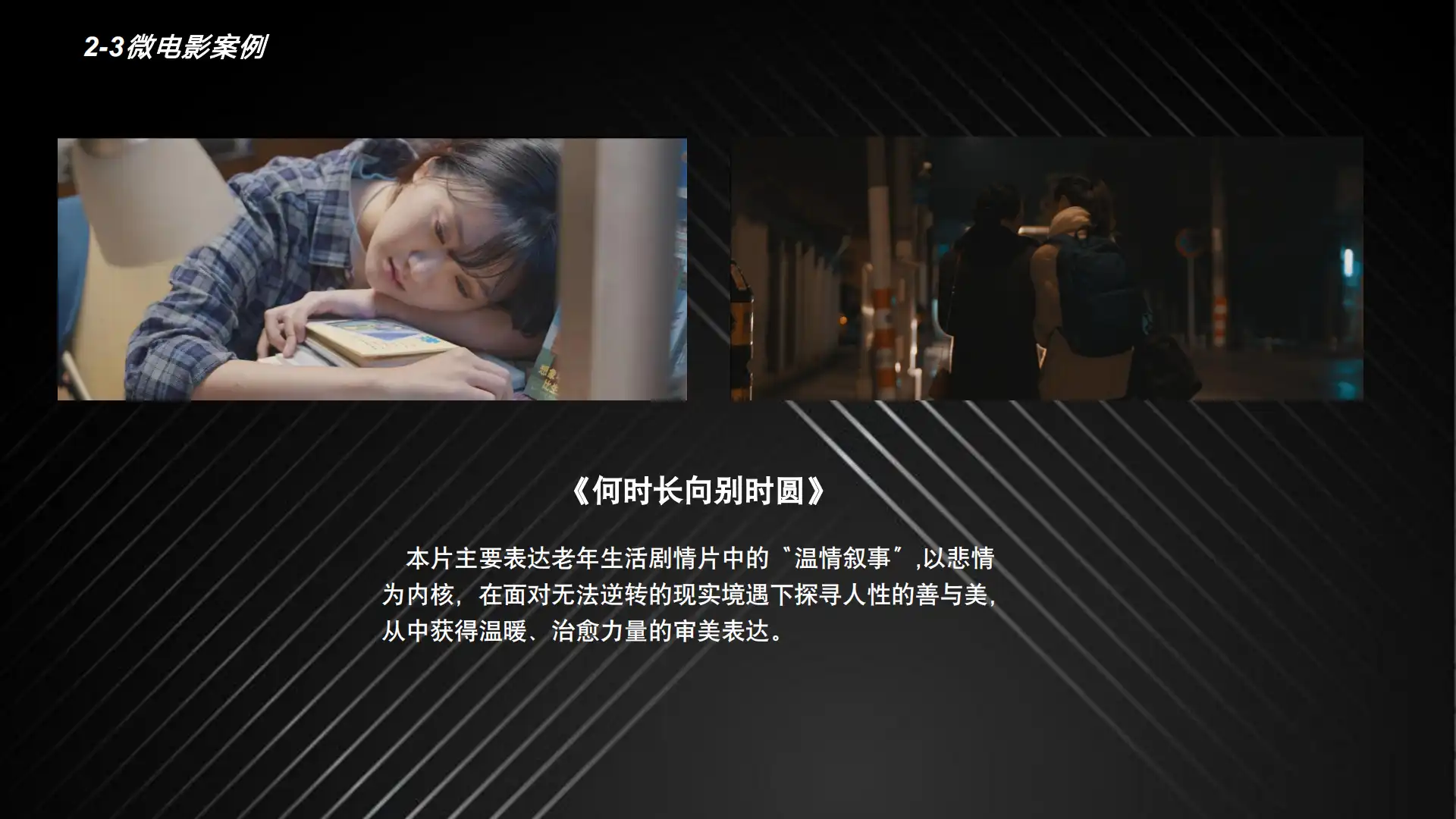 万山红公司简介 第13页
